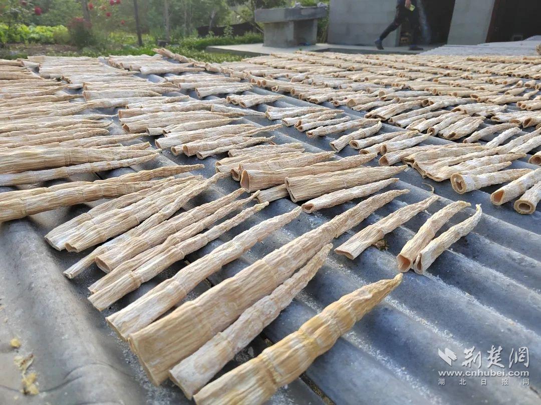 日啖笋干两三片，不辞长作岭南人——那一抹穿越时光的风味