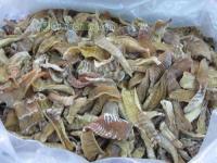 供应笋干片价格_供应笋干片厂家_世界工厂网产品信息库